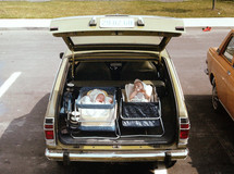 vintage image of infants in bassinets in the back of a car 