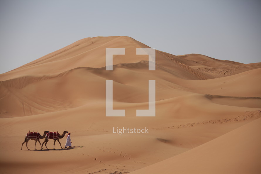 sand dunes and camels in a desert 