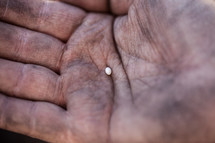 hand holding up a mustard seed 