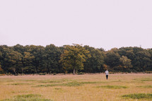 Wandering alone in a meadow 