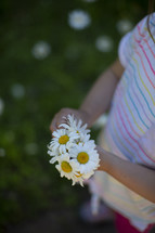 child picking daisies 