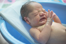 bathing a newborn 