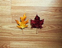 fall leaves on a wood floor