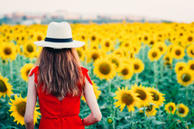 woman with long hair in a field of sunflowers. Active, raise.