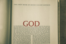 The First Book of Moses called Genesis 