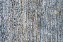 Wood texture background. Surface of old knotted wood with nature color, texture and pattern.