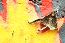 peeling paint of a wall covered in graffiti 