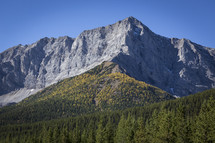 A mountain peak above an alpine and evergreen forest.