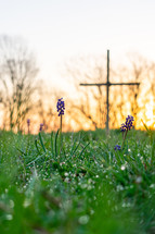 a cross in a field of blue bonnets at sunset 