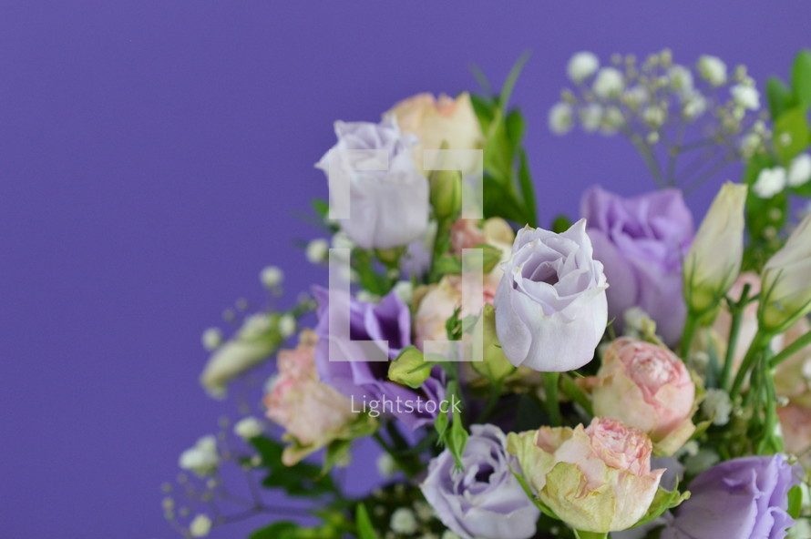 bouquet of purple roses 