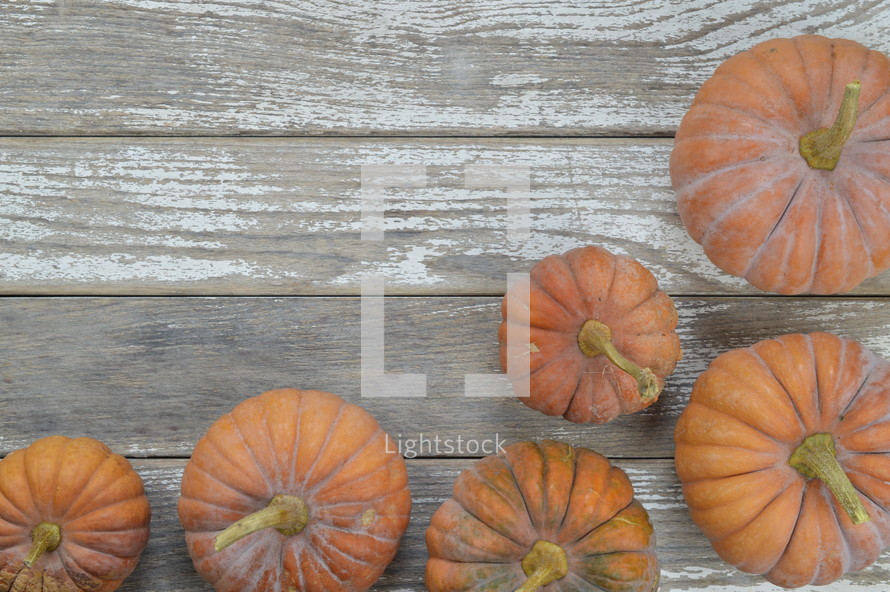 Musque de Provence pumpkins on raw gray wood boards 