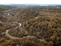 aerial view over a forest and muddy river 