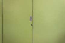 olive green doors 