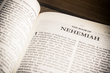 The book of Nehemiah 
