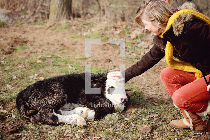girl petting a baby cow