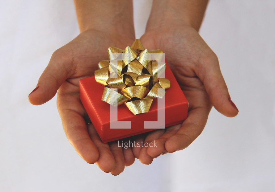 A person presenting a gift