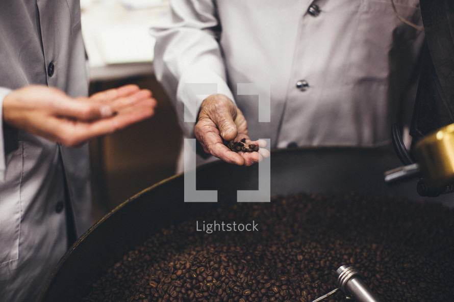 coffee beans in a vat 