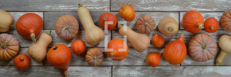 gourds and pumpkins on gray wood background 
