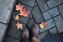 Fall leaves on brick street with woman's shoes