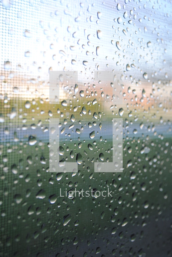 Raindrops on a window.
