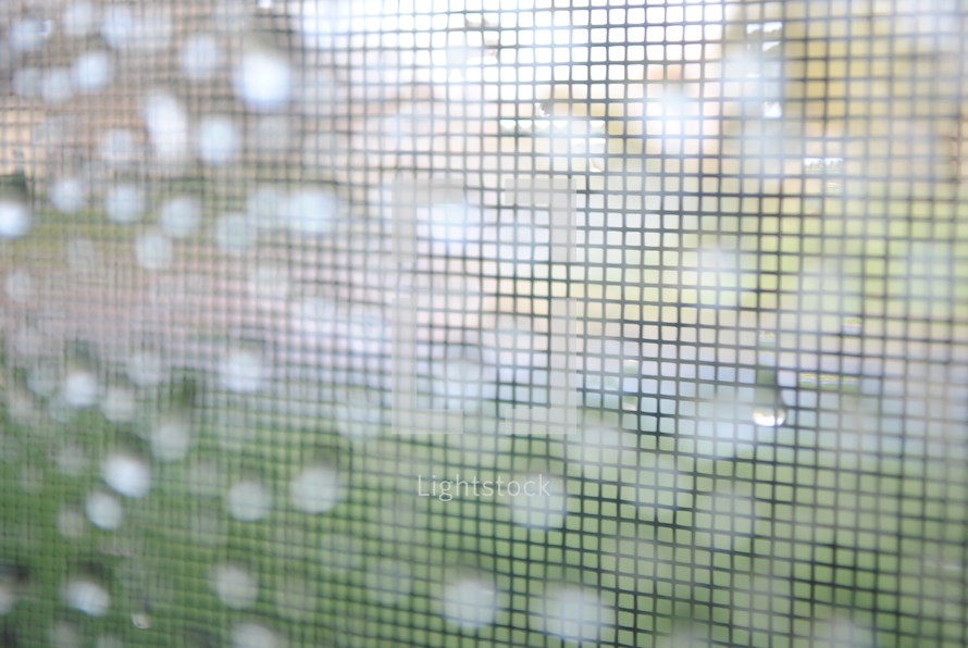 Raindrops on a window screen.