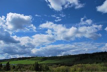 rural landscape in spring 
