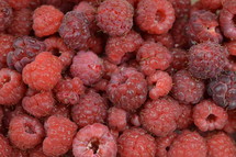 raspberries background 