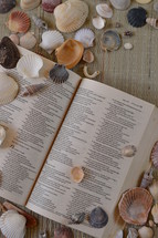 seashells and open Bible on mat