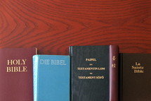 Bibles in different language lined up on a table.