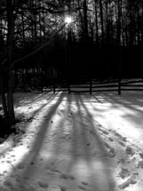 The sun shining through the trees leaving long shadows on the snow through a trail of tracks in the snow in Virginia during the winter.