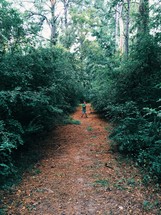 boy child running on a path in a forest 