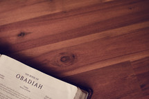 BIble on a wood floor opened to Obadiah 