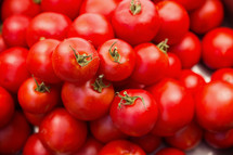 red ripe tomatoes 