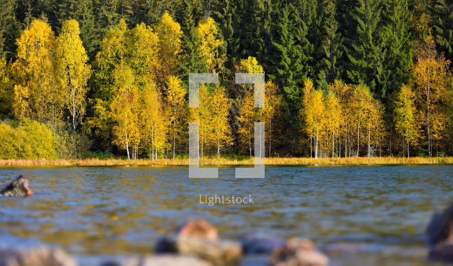 Autumn park landscape. The bright colors of autumn in the park by the lake