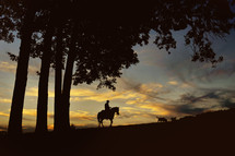 Man riding horse at sunset