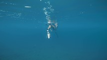 underwater fishing
