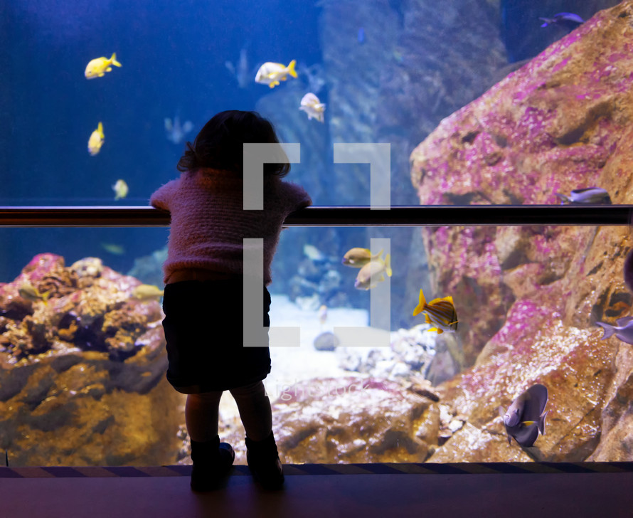 child visiting an aquarium 