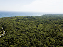 aerial view over a green forest 