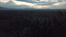 drone shot over the jungles of Papua New Guinea 