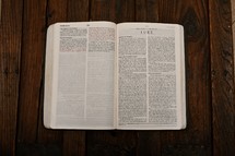Scripture Titles - Luke