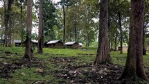 village in Papua New Guinea 