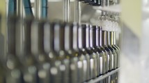 Filling of olive oil bottles in a bottling factory
