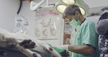 Veterinary surgery - Veterinarian operating a white dog in a pet clinic