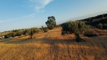 The Freedom Of A Countryside View In Italy 