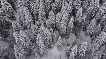 Snowy nature aerial 