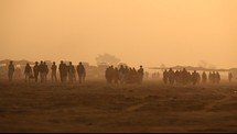 people walking in a desert 