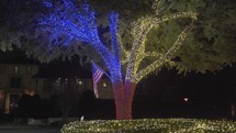 Beautiful Cute Colorful Christmas Lights Tree of Texas Around Neighborhood