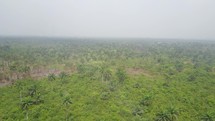 aerial view over a jungle 