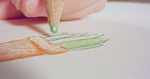 Macro shot of a colored pencil tip drawing on paper.