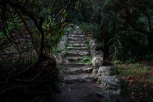 rock steps in a jungle 